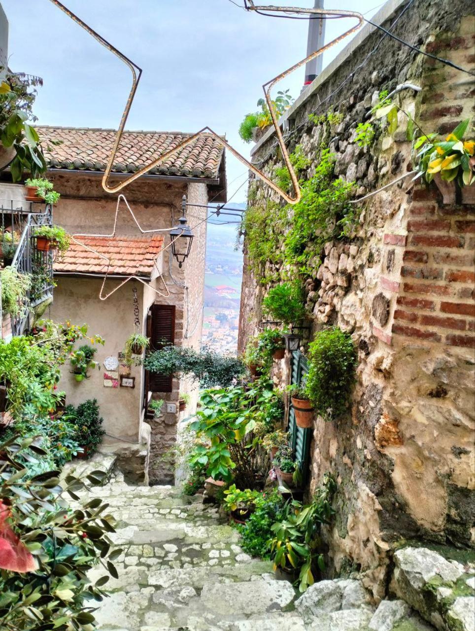 Vila Casa Liberta Artena Exteriér fotografie